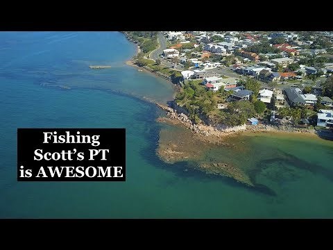 SCOTTS POINT, Redcliffe, why FISHING is so good