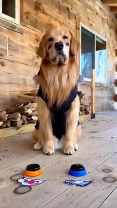 300K views · 13K reactions | My bet is still on grandma winning it fair and square  #Superbowl NFL Philadelphia Eagles The Kansas City Chiefs | Tucker Budzyn | Facebook