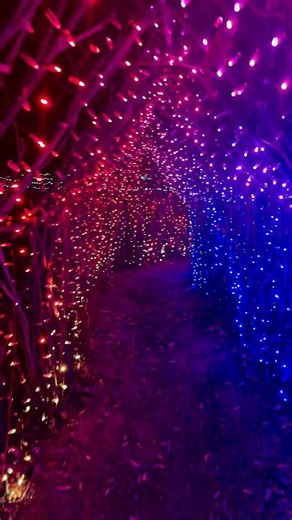 So many activities, so little time! There is no shortage of activities to get in the holiday spirit around here. The only problem? Fitting them all into the holiday season! 🎅 Visit Winter Garden aGlow at Idaho Botanical Garden 🚎 Take a light seeing tour with Boise Trolley Tours 👯 See a performance of The Nutcracker by Ballet Idaho at Morrison Center 🎄 Check out the Christmas tree in The Grove Plaza and celebrate with Holidays on The Grove 🎁 Pick up gifts from your favorite local stores to h