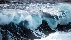 Blue Planet: Season 1 Episode 7 Tidal Seas