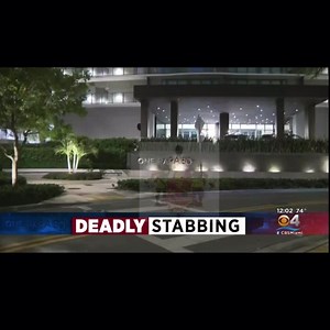 Attorney of Courtney Tailor, who’s real name is Courtney Clenney, said so far she has not been charged because she did not commit a crime and was acting in self defense. Frank Prieto said Clenney kicked Obumseli out of the apartment she was renting in Edgewater a week prior to his death because of domestic abuse allegations. These allegations Clenney made against Obumseli, her lawyer said, led to his death. | Moor Info