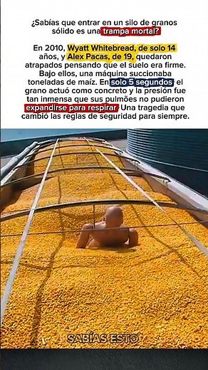 La tragedia de 5 segundos en un silo de maíz #shorts