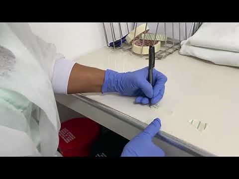 CURSO IAAS - ESTERILIZACIÓN