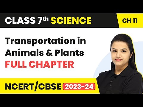 Class 7 Science Ch 11 |Transportation in Animals & Plants Full Chapter Explanation & NCERT Solutions