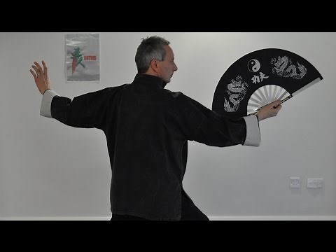 Tai Chi Fan Form