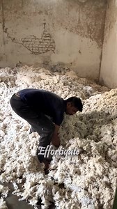 🌀 Cotton to Thread Journey | Spinning the Magic of Fibers | Effortigate