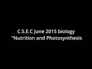 Answering Photosynthesis and Nutrition questions.