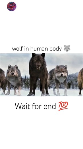 wolf in human body movie seen #shorts #viral #shortsviral #explore #movie #facts #film