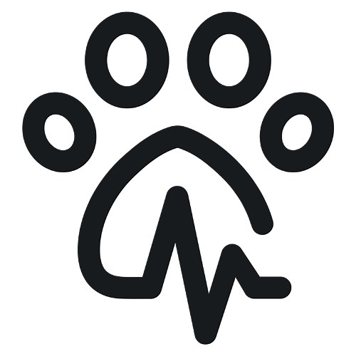 Minitailz Quick Start Up Guide - How To Install Your Device And Start Using It