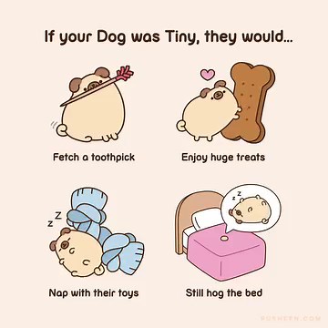 201K views · 3.4K reactions |   | Pusheen | Facebook