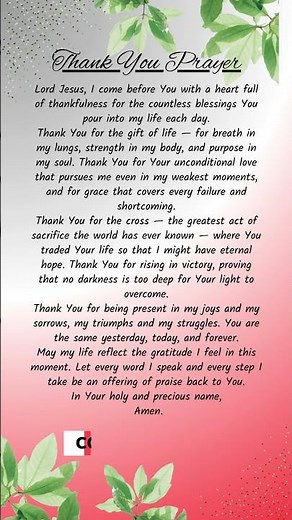 Thanks Giving Lord's Prayer ❤ Daily gratitude prayer🙏 Divine Prayers
