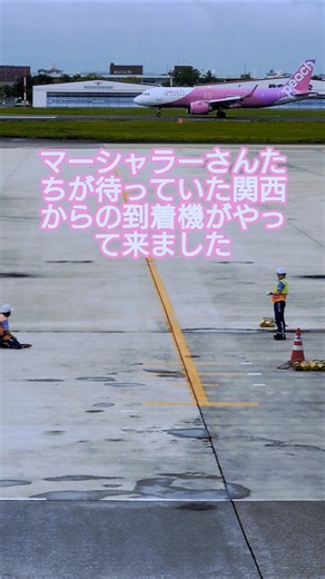 [Short Ground Handling Video] 🍈 The arriving aircraft that the marshallers were waiting for has