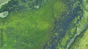 The discharge of industrial effluents into surface water bodies significantly deteriorates water quality, demanding rigorous pollution control measures. Water pollution and sewage concept. Drone.