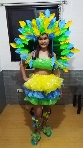 Brazilian National Costume Ideas with Recycled Materials