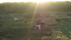 Built right. Built ready. Kubota tractors and hay tools have everything you need to take on the day. #KubotaCountry | Kubota Tractor Corporation