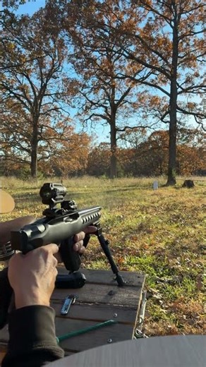 Bipods Make It Too Easy 👀