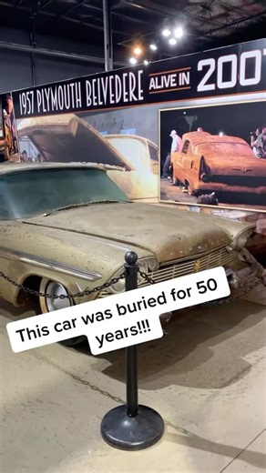 Miss Belvedere: America’s Failed Te Capsule | Freyzel Productions