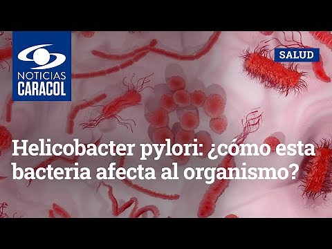 Helicobacter pylori: ¿cómo esta bacteria afecta al organismo?