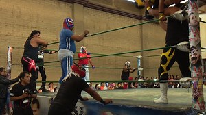 14K views · 127 reactions | El deporte de la lucha libre es una tradición mexicana… | TV Azteca Oaxaca | Facebook