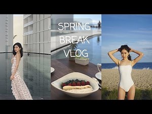 Spring Break Vlog | LA/墨西哥/西雅图+详细的餐厅review+网红酒店