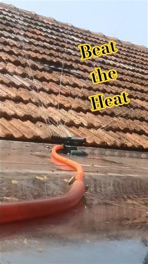 The "Desi Jugaad" at @rojasnaturalfarm