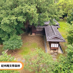 510K views · 10K reactions | Mini Cultural Trips in Taipei. Culture...