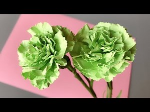 ABC TV | How To Make Carnation Paper Flower - Craft Tutorial