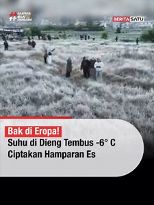 Sempat menyentuh -6 derajat celcius, kini Dieng kembali diselimuti es yang jadi incaran wisatawan. Fenomena embun upas di Candi Arjuna kembali memukau pengunjung meski suhu udara sangat dingin. Kapan terakhir kali kamu merasakan sensasi suhu minus di Indonesia? Simak berita selengkapnya diBeritaSatu.com, BeritaSatu TV, YouTube BeritaSatu dan unduh aplikasi BeritaSatu di iOS dan Apps Store!⁣ #BeritaSatu #SaatnyaMajuBersama #EmbunUpasDieng #Bediding #EsDieng