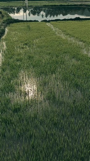 RAthy (@ukthy_rathy)’s videos with suara asli - altatih