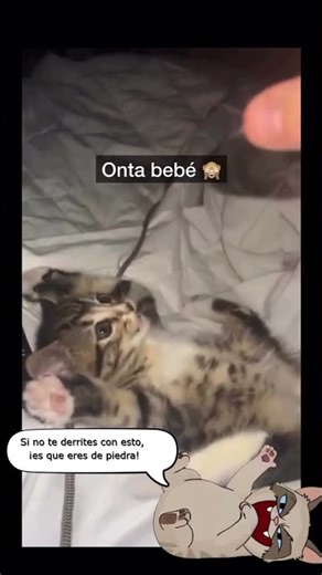 Si no te derrites con esto, ¡es que eres de piedra!