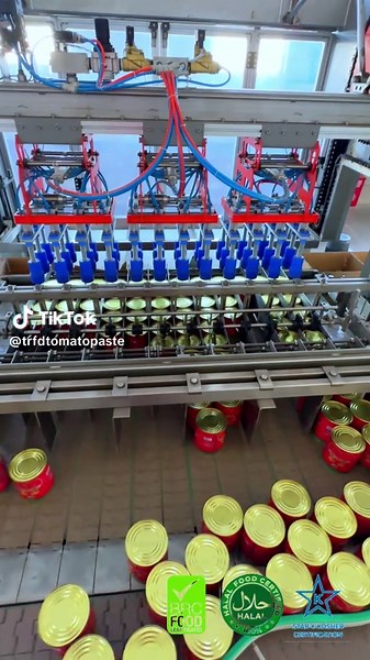 Quality Tomato Paste: Essential for Flavorful Cooking