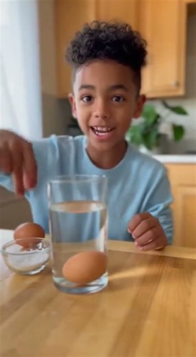 Salt Water Egg Test 🥚🧂 | Simple Science for Kids!science is fun