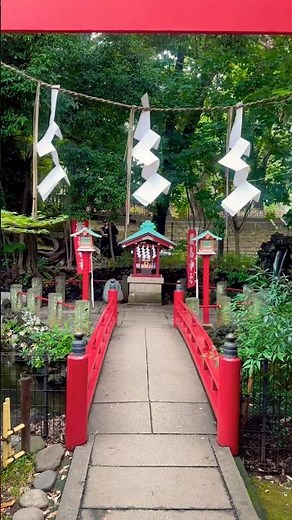 Pray for Wealth at This Hidden Shrine｜Itsukushima Shrine 金運・財運を願う隠れた神社｜厳島神社
