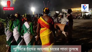 16K views · 475 reactions | পূর্ণিমা'র চাঁদের আলোয় চায়ের পাতা তুলছে ডাবরী......দেখুন ভিডিও। #teagarden #darjeelingtea | DATM 24 | Facebook