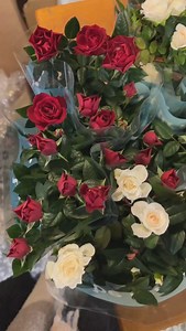 What choose gifts over flowers when you can choose both! 🎁💐 Send gift basket with a pot of flowers! 🤗🎁🌸 Check out our flowering gifts 🤳💝🌸 #floweringgifts #giftswithflowers #flowergifts #mothersdaygifts #giftsformum | BasketsGalore Gift Baskets & Hampers