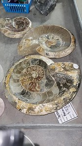 THOUGHTFUL THURSDAY! Join Sage for CRYSTALS AFTER DARK RIGHT HERE RIGHT NOW! 10% off assorted minerals and so much more to see! | Norcross Madagascar