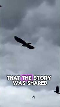 The Brain Power Behind Bird Memory 🐦 How Tiny Brains Do Big Things! #Birds #AnimalFacts #SmartBirds