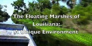 The Floating Marshes of Louisiana: A Unique Ecosystem