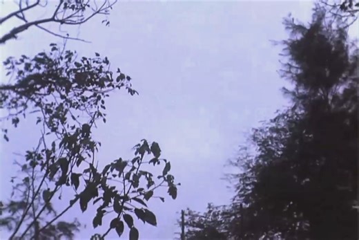 Marines call in air support as the fight rages inside Huế—voices steady over the radio, jets inbound, and firepower brought dangerously close to friendly lines. #BattleOfHue #VietnamWar #CloseAirSupport #USMC #UrbanCombat #DangerClose #SemperFi #BattlefieldFootage #MilitaryHistory #GhostsOfTheBattlefield | Ghosts of the Battlefield