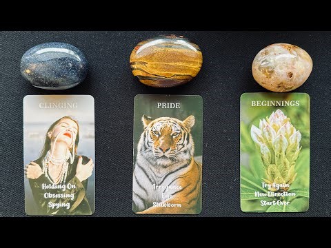 💬What Do THEY Need to SAY?? (Direct 1st Person)📫💌💘*Pick A Card* Timeless Tarot Psychic Love Reading