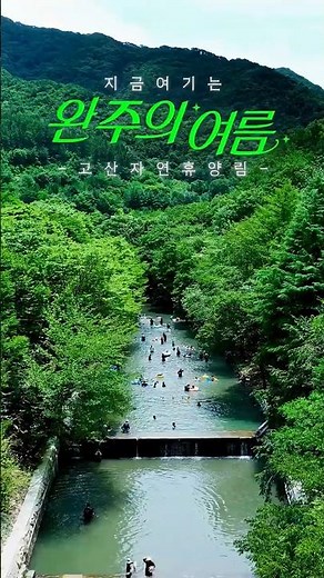 완주의 여름, 지금 여기는 고산자연휴양림🌿