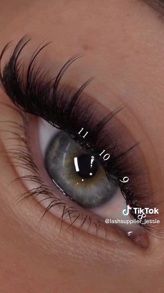 Strip Lash Mapping Tutorial | Lash Extension Tips