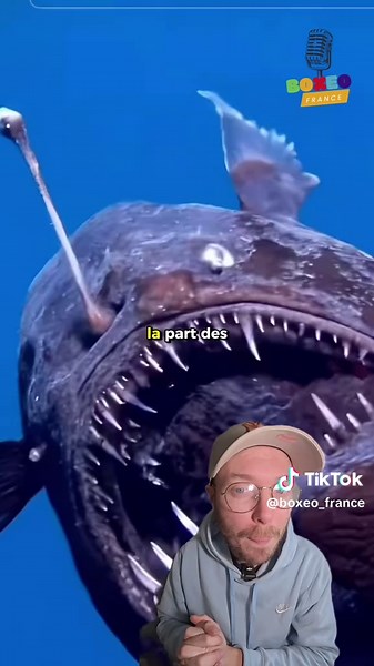 Les Mystères des Océans et le Léviathan