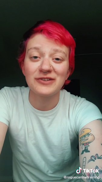 Mastering Clicker Training for Dogs