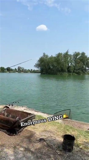 Enormous DING 🛎️#carpfishing #casting #surfcasting #tuition #short DDAWNG Fishing