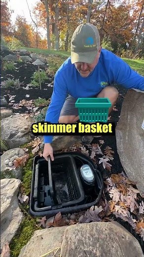 Why you NEED a Skimmer Filter for an Ecosystem Pond 💦💦