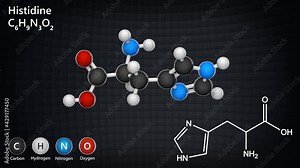 Histidine (symbol His or H) is an amino acid that is used in the biosynthesis of proteins. Formula: C6H9N3O2. 3D render. Seamless loop. Chemical structure model: Ball and Stick.