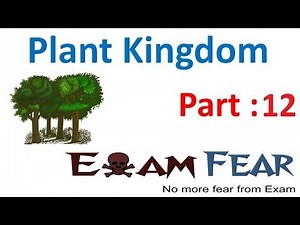 Liverworts, Structure, life cycle - Plant Kingdom, Biology, Class 11 Video Lecture