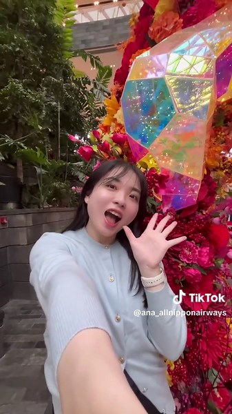 ANA🇯🇵✈️ (@ana_allnipponairways) - Do you like Singapore?🇸🇬 🩵 📍Tokyo International Airport Terminal 2 📍Singapore Changi Airport 📍TWG 📍Jewel 📍Bacha Coffee 📍Merlion Park 📍HSBC Rain Vortex #ana #allnipponairways #羽田空港 #シンガポール #singapore #tokyointernationalairport #tokyo #japan #旅 #旅行 #観光 #マーライオン #trip