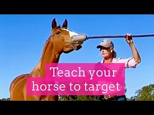 How To Teach Target Training To Your Horse: A Step-By-Step Guide | LaraCoventryCox.com